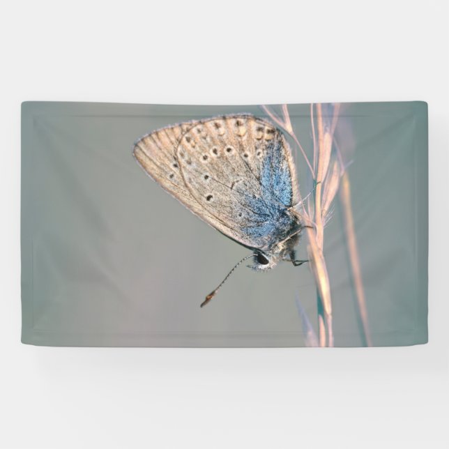 Banderoles de 91 cm x 152 cm (Horizontal)