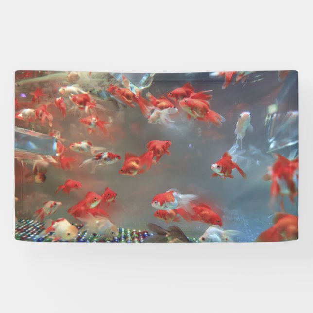 Banderoles de 91 cm x 152 cm (Horizontal)