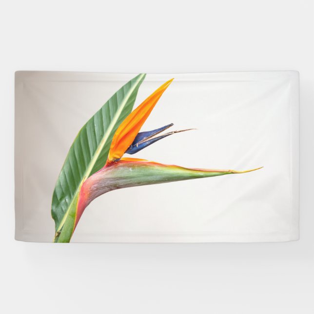 Banderoles de 91 cm x 152 cm (Horizontal)