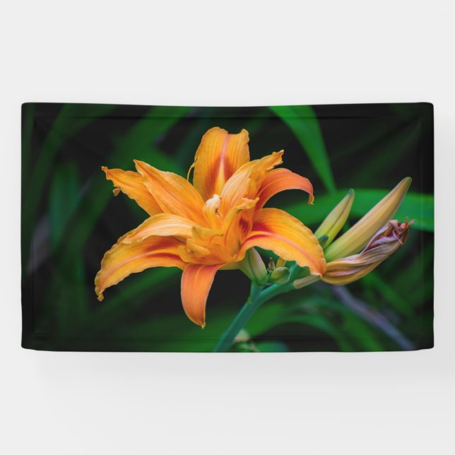 Banderoles de 91 cm x 152 cm (Horizontal)