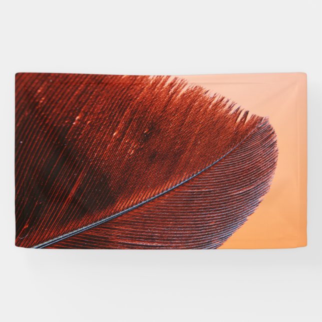 Banderoles de 91 cm x 152 cm (Horizontal)