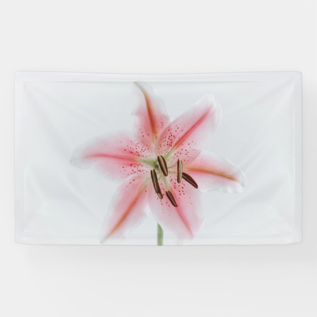 Banderoles de 91 cm x 152 cm (Horizontal)