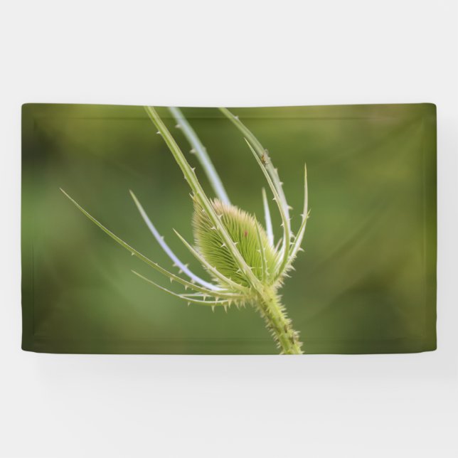 Banderoles de 91 cm x 152 cm (Horizontal)