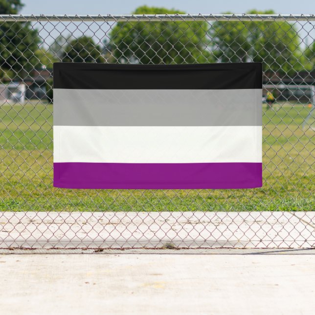 Banderoles Drapeau de fierté asexué (En situation)