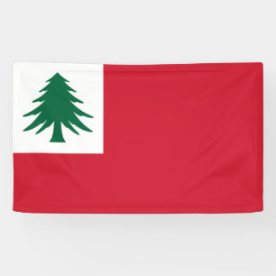 Banderoles Drapeau de la Nouvelle-Angleterre