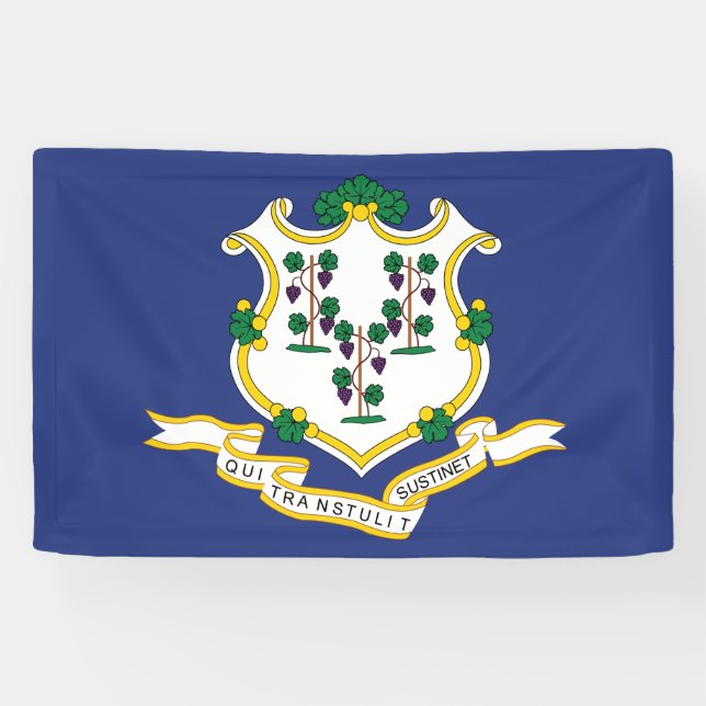 Banderoles Drapeau de l'État du Connecticut (Horizontal)