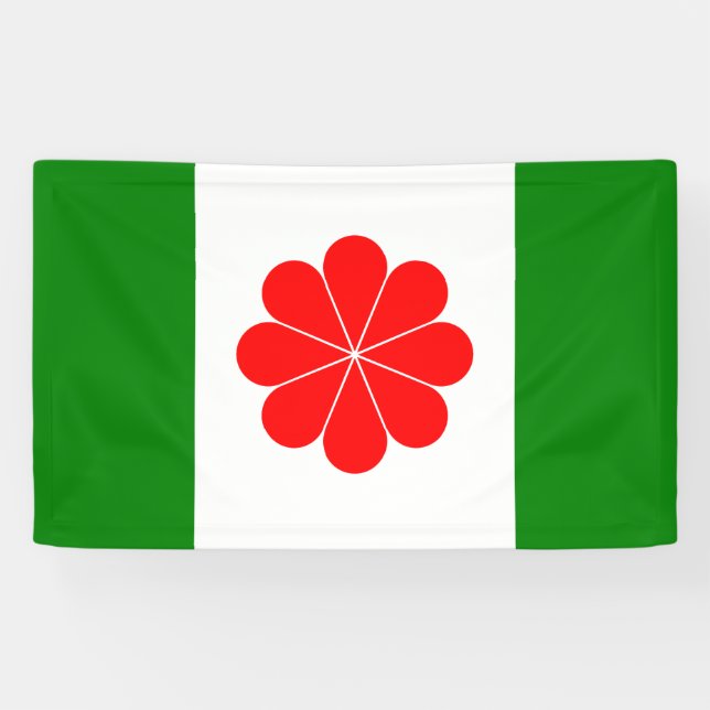 Banderoles Drapeau de Taïwan indépendant - 臺灣獨立運動 - 台灣獨立運動 (Horizontal)