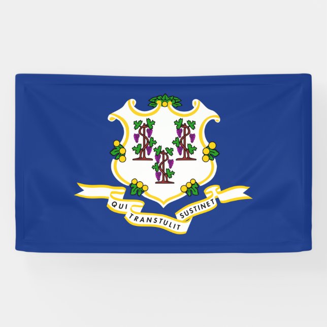 Banderoles Drapeau d'État du Connecticut (Horizontal)