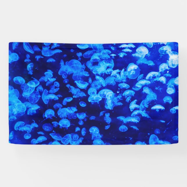 Banderoles Écran de méduse (Horizontal)