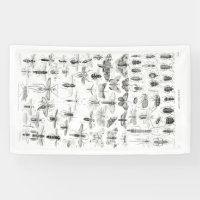 Entomologie noire et blanche Insectes Bugs