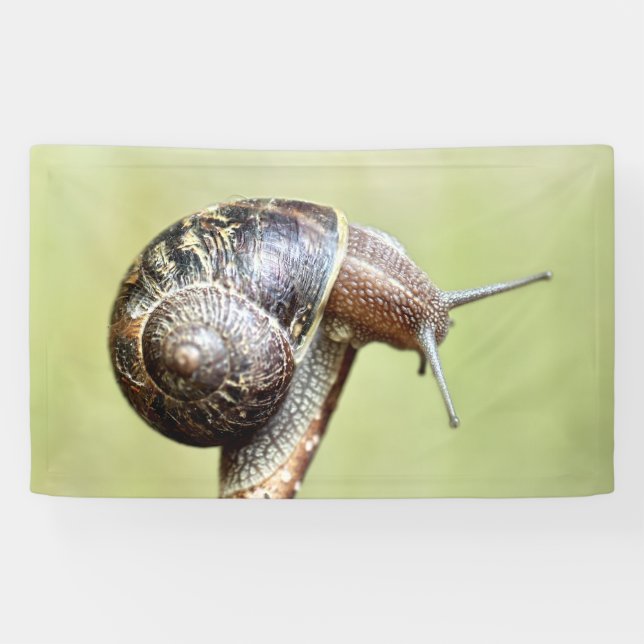Banderoles Escargots - Le Plaisir Riche (Horizontal)