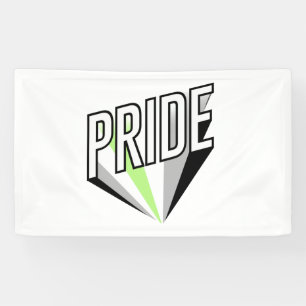 Banderoles Fierté Agender éclatée