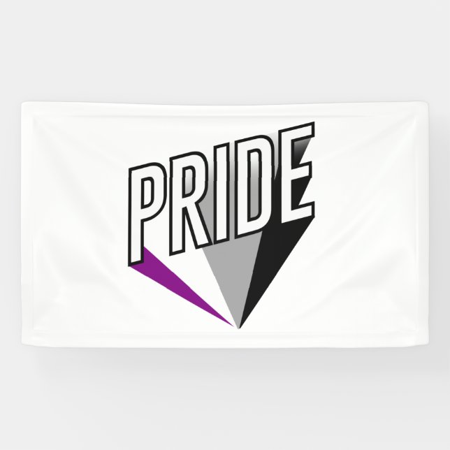 Banderoles Fierté asexuelle éclatée (Horizontal)