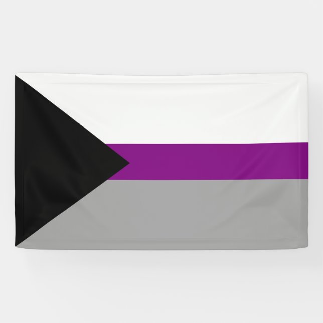 Banderoles Fierté demisexuelle (Horizontal)