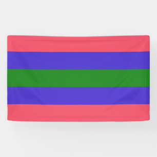 Banderoles Fierté trigender