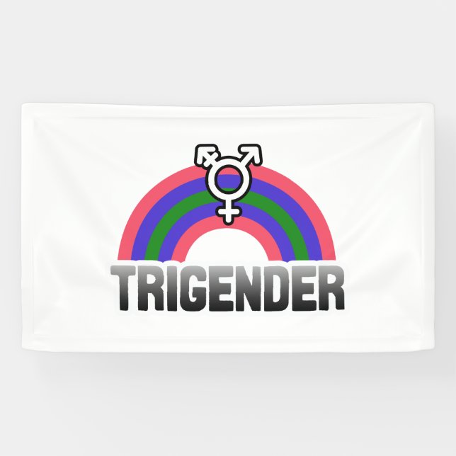Banderoles Fierté trigender (Horizontal)