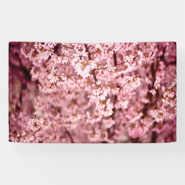 Banderoles Fleurs de cerisier de Sakura (Horizontal)