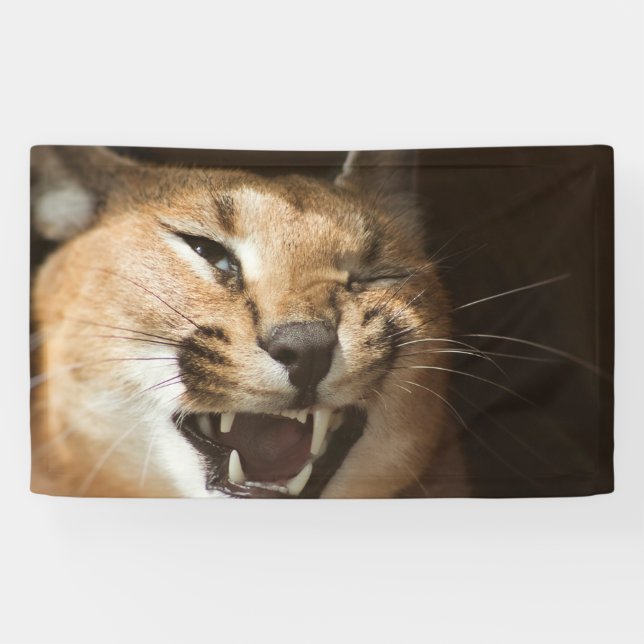 Banderoles Goofy Lynx (Horizontal)