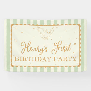 Banderoles Harry Potter Hedwig Vert Rayé Anniversaire