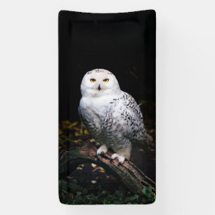 Banderoles Hibou des neiges majestueux d'hiver