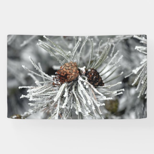 Banderoles Ice Covered Pine Cones (Horizontal)