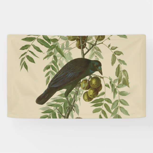 Banderoles Impression d'oiseau Grackle violet d'Audubon Botan (Horizontal)