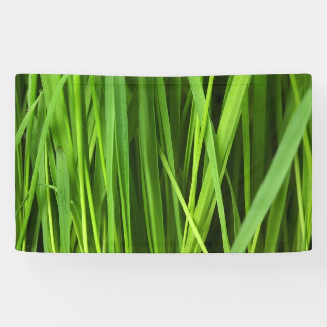 Banderoles Lames d'herbe (Horizontal)