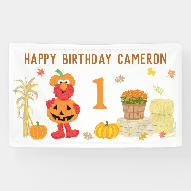 Banderoles L'anniversaire d'Elmo de Sesame Street (Horizontal)