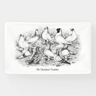 Banderoles Les Pigeons Tumbler à courte vue