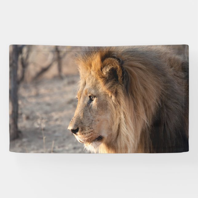 Banderoles Lion Portrait (Horizontal)