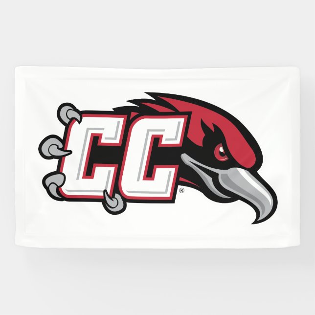 Banderoles Logo de CC Thunderbird (Horizontal)