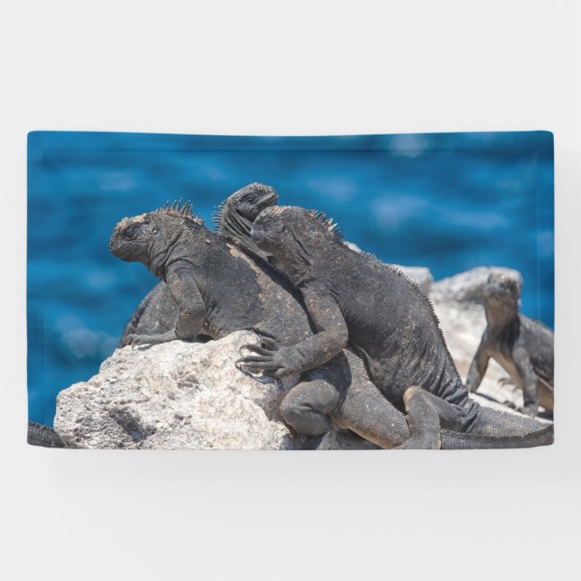 Banderoles Marine Iguana (Horizontal)