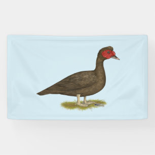 Banderoles Muscovy Drake Chocolat