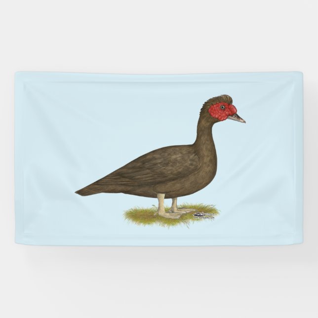 Banderoles Muscovy Drake Chocolat (Horizontal)