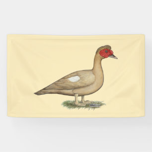 Banderoles Muscovy light chocolate drake