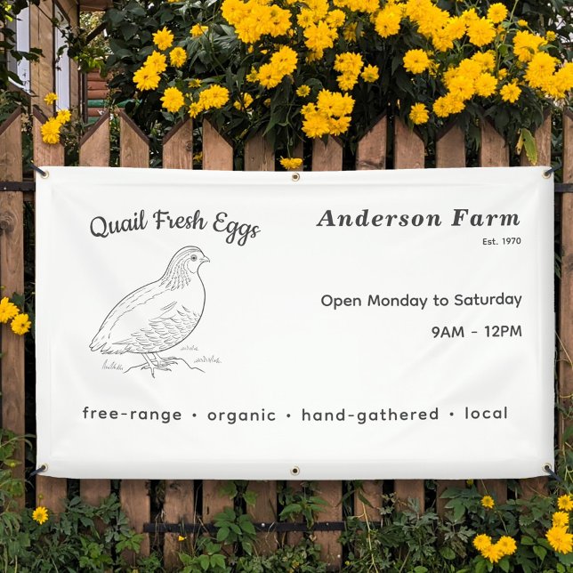 Banderoles OEufs De Quail De Ferme Frais (Fresh Farm Quail Eggs Banner)