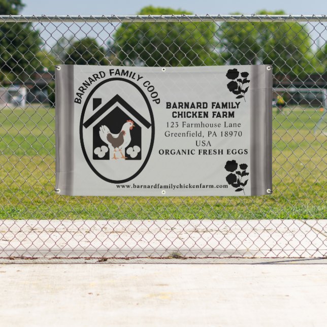Banderoles Oeufs frais biologiques de ferme rustique Poule Gr (En situation)