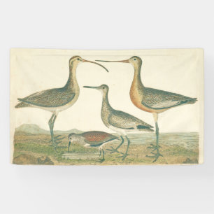 Banderoles Oiseaux de marais Courlis Oiseaux