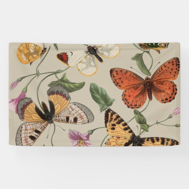 Banderoles Papillon Moth Nature Collection Dessin (Horizontal)