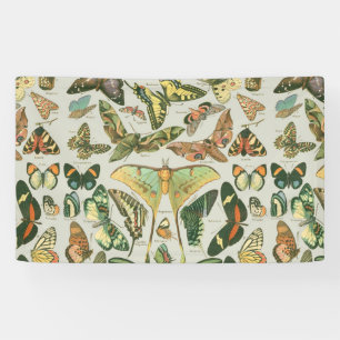 Banderoles Papillons Vintages papillons d'antiquités Art