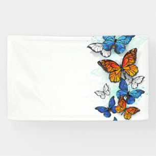 Banderoles Papillons volants Morpho et Monarch