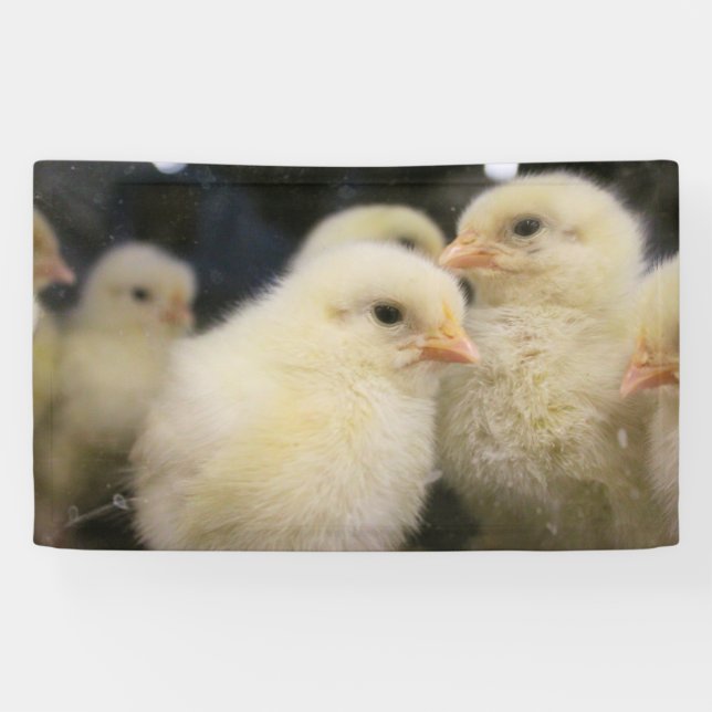 Banderoles Peeps (Horizontal)