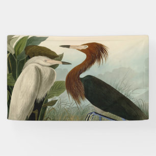 Banderoles Peinture de la faune d'Audubon Heron violet
