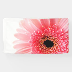 Banderoles Photographie de gerbera rose frais