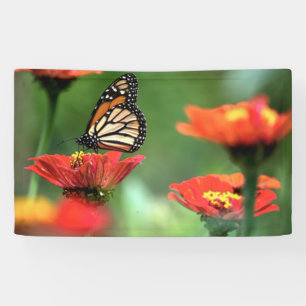 Banderoles Pollinisation des papillons monarques
