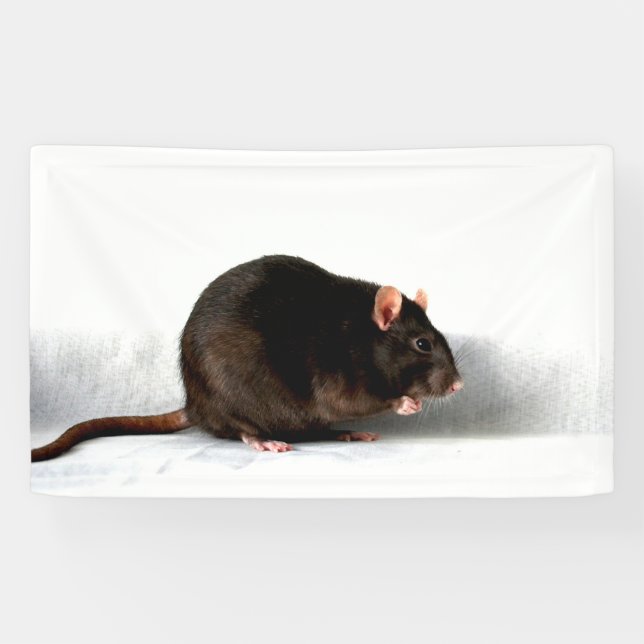Banderoles Rat bnrcna (Horizontal)