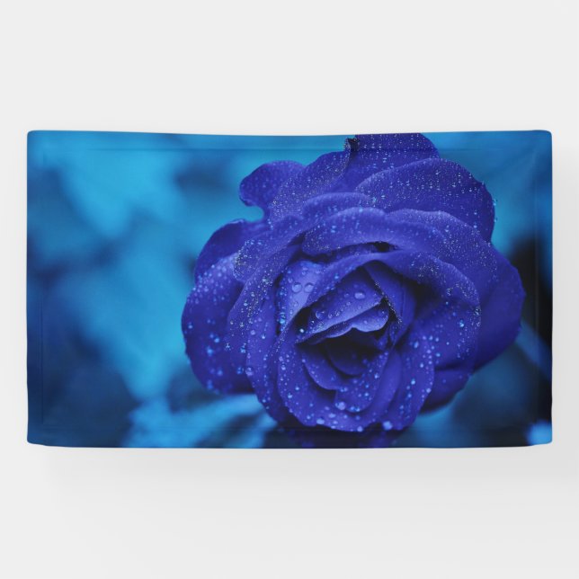 Banderoles Rose Dewdrop bleu (Horizontal)