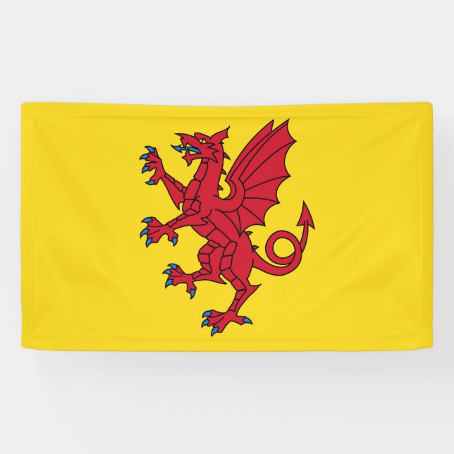 Banderoles Symbole de Somerset Flag England (Horizontal)