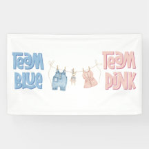 Team Blue and Pink Gender Revela