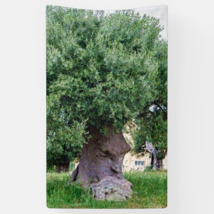 Banderoles The Thinking Tree in Pugia